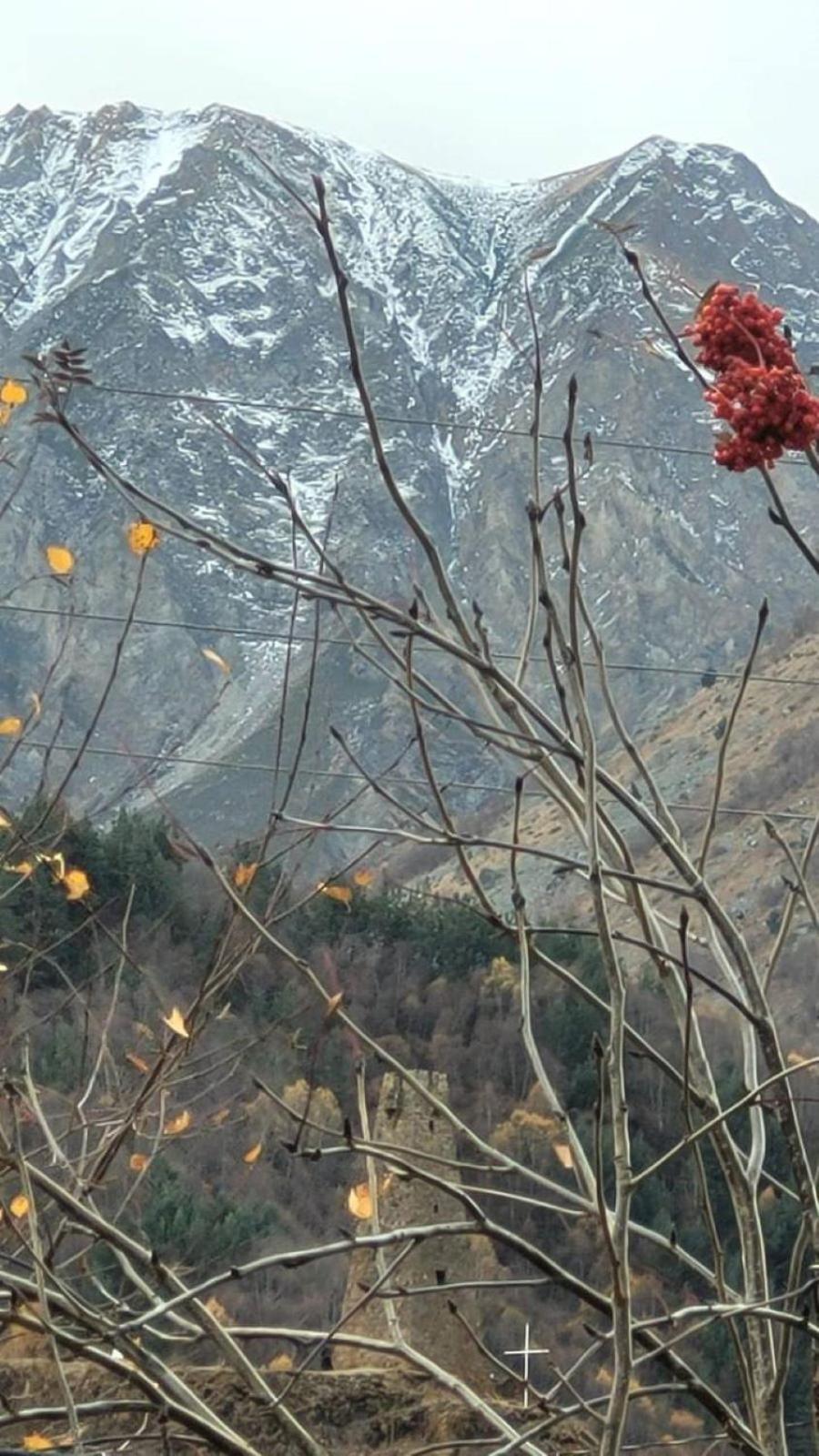 Mtisguli Cottages Kazbegi Bagian luar foto