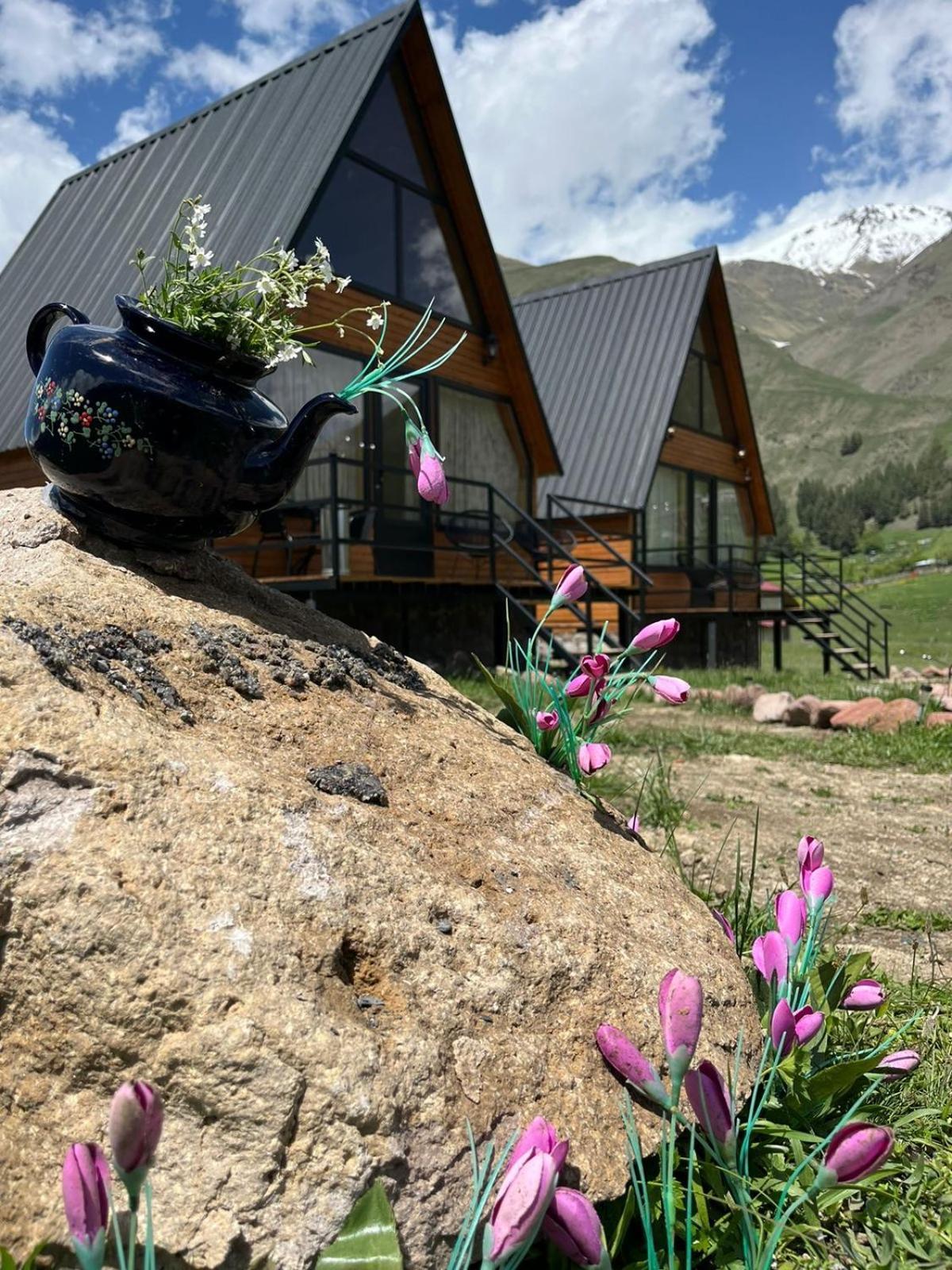 Mtisguli Cottages Kazbegi Bagian luar foto