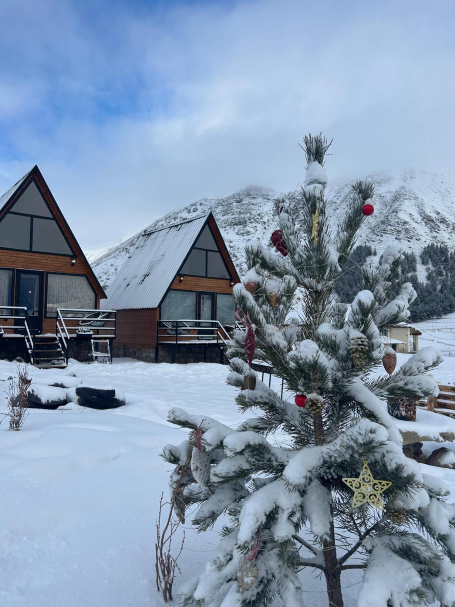 Mtisguli Cottages Kazbegi Bagian luar foto